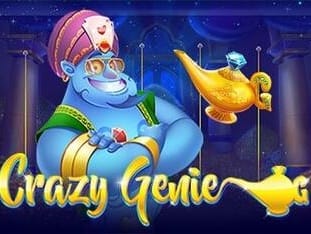 Crazy Genie game screenshot